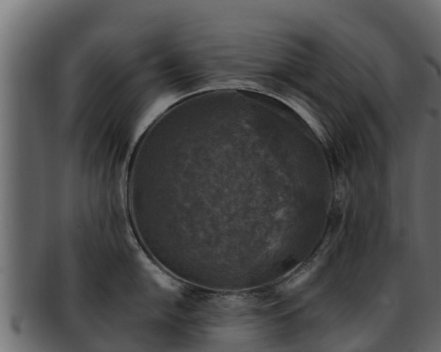 X0000092281054200710041407