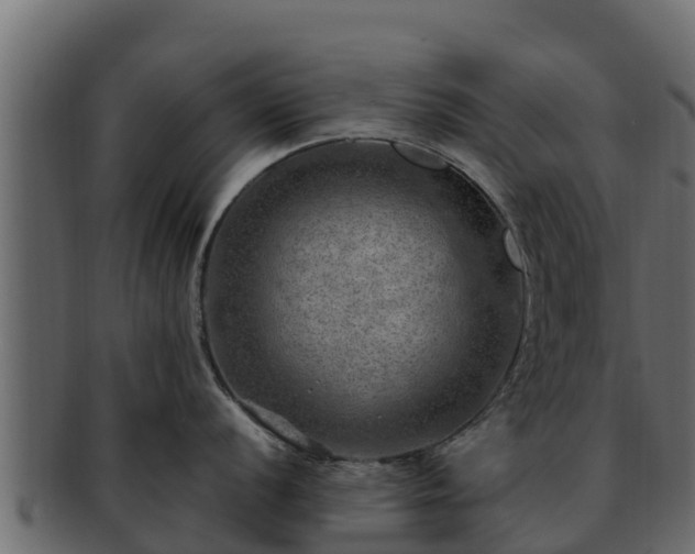 X0000092281056200710041407