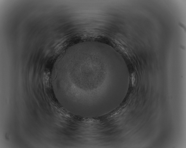 X0000092281059200710041407