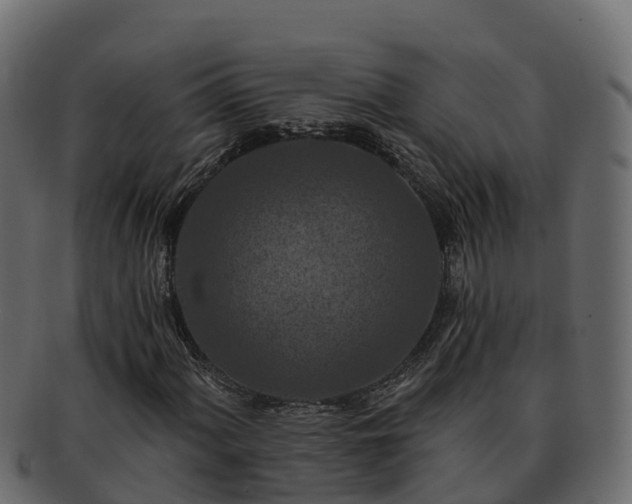 X0000092281060200710041407