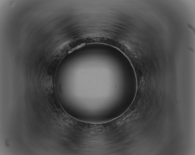 X0000092281062200710041407