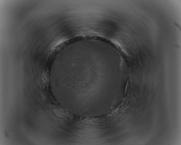 X0000092281063200710041407