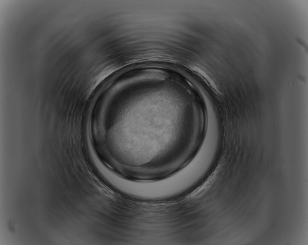 X0000092281065200710041406