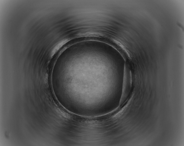 X0000092281066200710041406