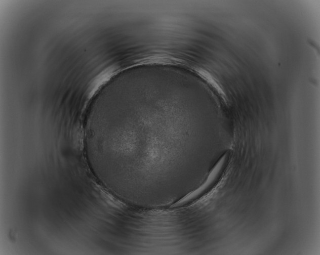 X0000092281067200710041406