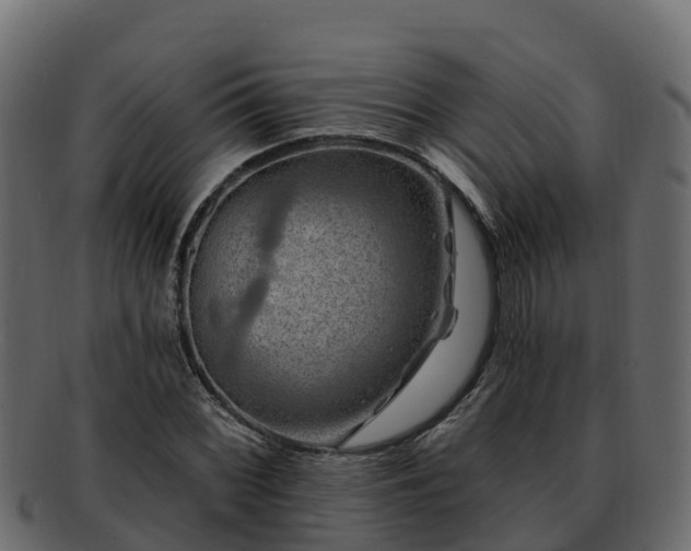 X0000092281068200710041406