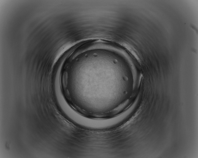 X0000092281069200710041406