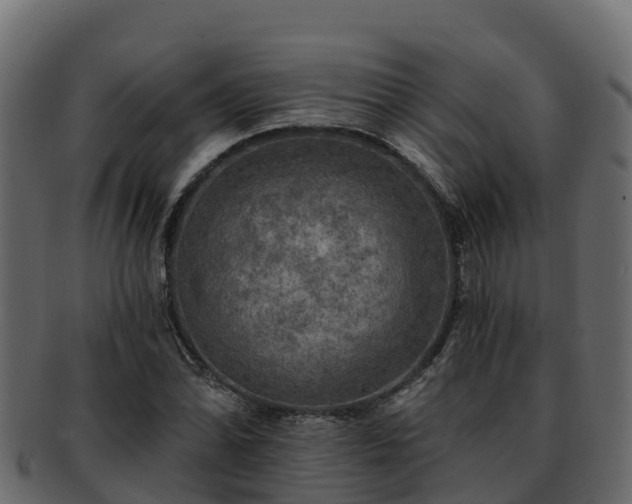 X0000092281070200710041406