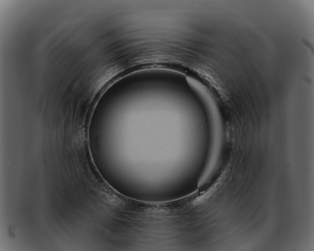 X0000092281073200710041406