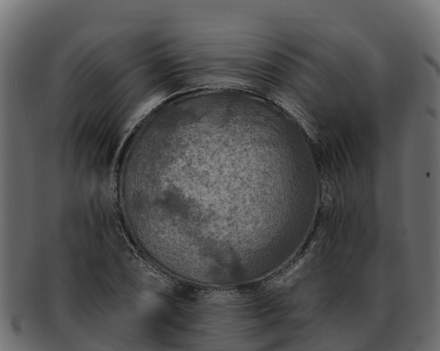 X0000092281074200710041406