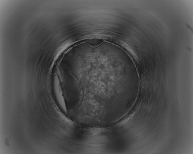 X0000092281075200710041406