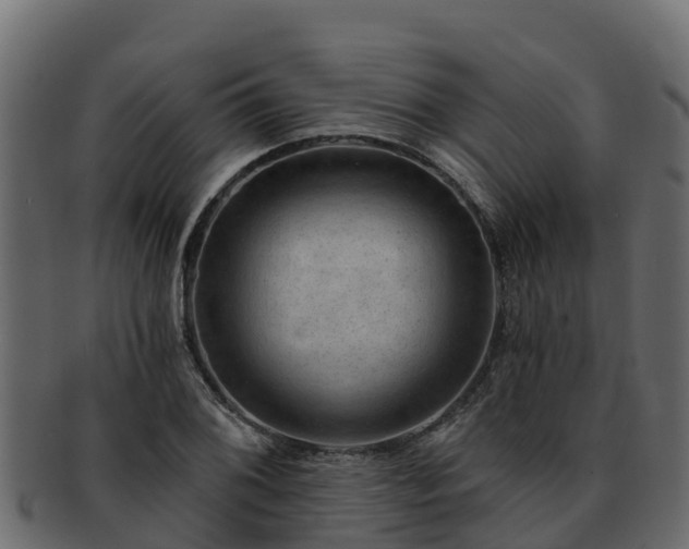 X0000092281076200710041406