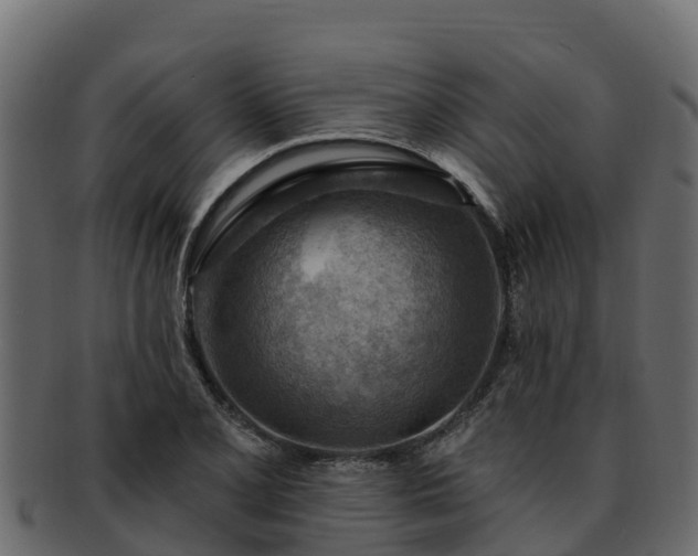 X0000092281077200710041406