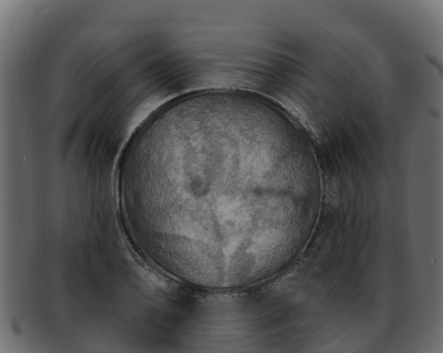 X0000092281078200710041406