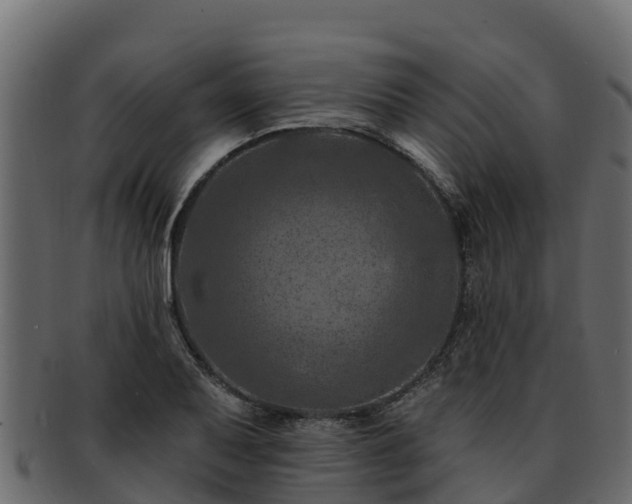 X0000092281079200710041406