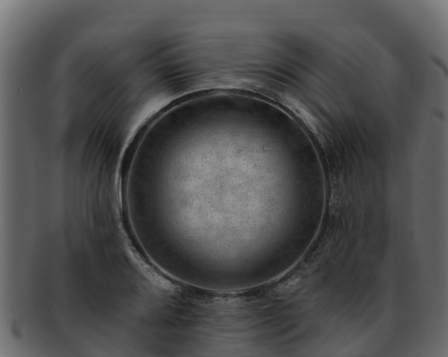 X0000092281080200710041406