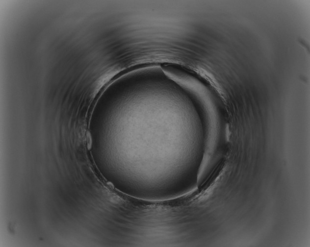 X0000092281081200710041406