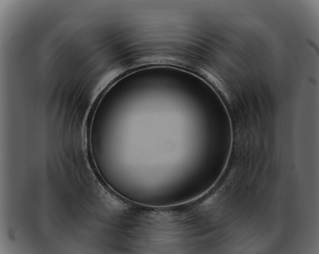 X0000092281082200710041406