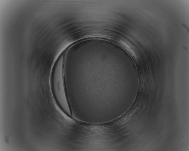 X0000092281084200710041406