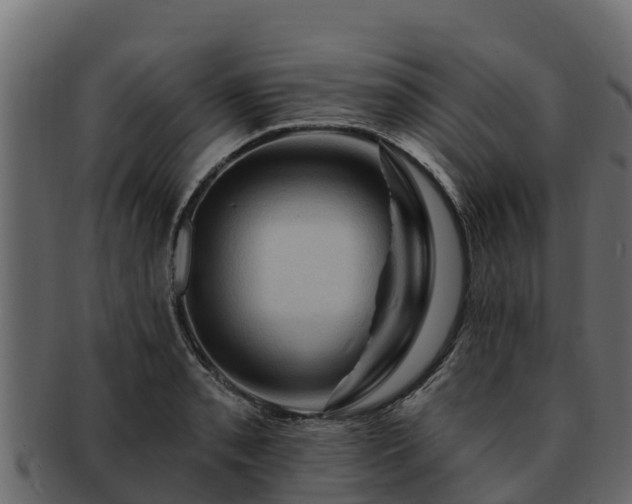 X0000092281085200710041406