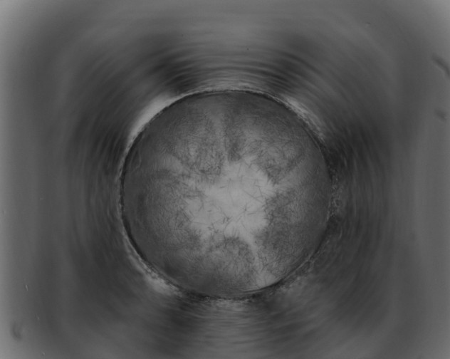 X0000092281086200710041406