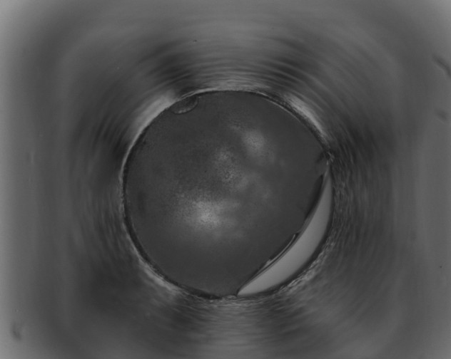 X0000092281087200710041406