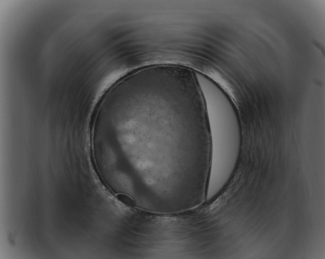 X0000092281088200710041406