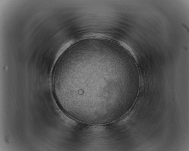 X0000092281090200710041406