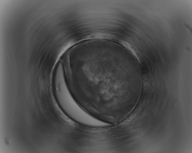 X0000092281091200710041406