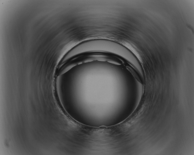 X0000092281093200710041406