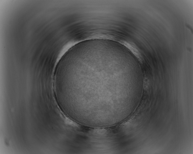 X0000092281094200710041406