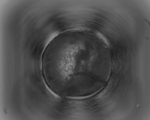 X0000092281095200710041406