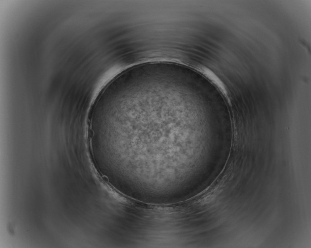 X0000092281096200710041406