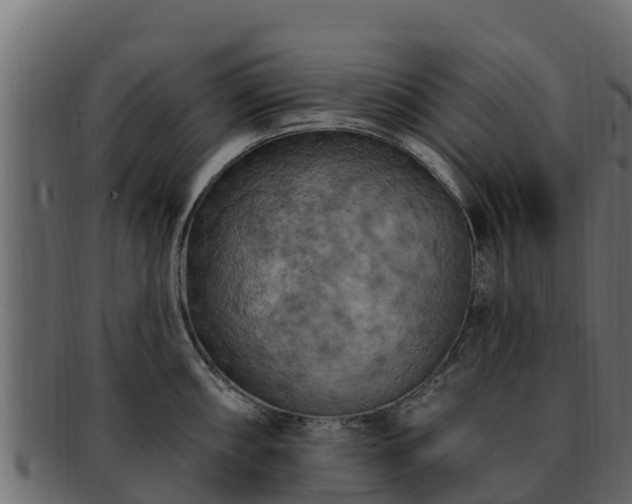 X0000092281098200710041406