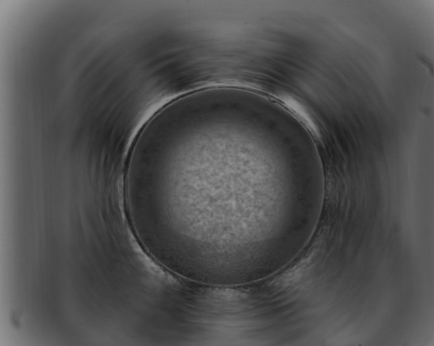 X0000092281100200710041406