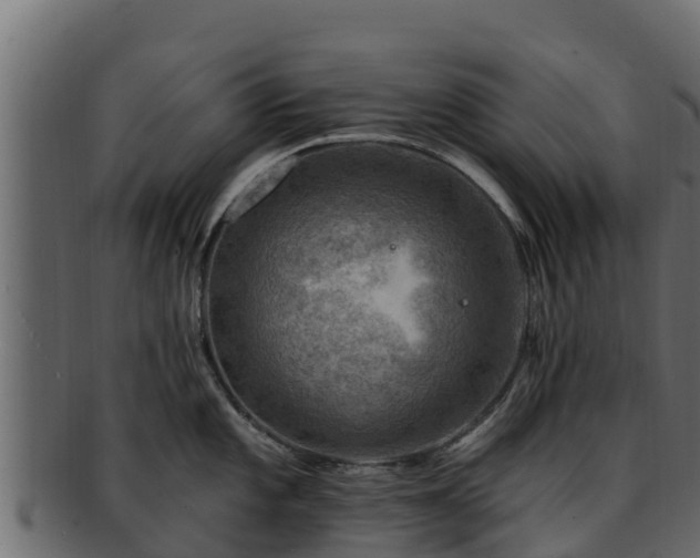 X0000092281101200710041406