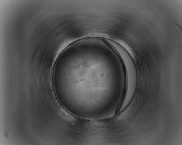 X0000092281102200710041406