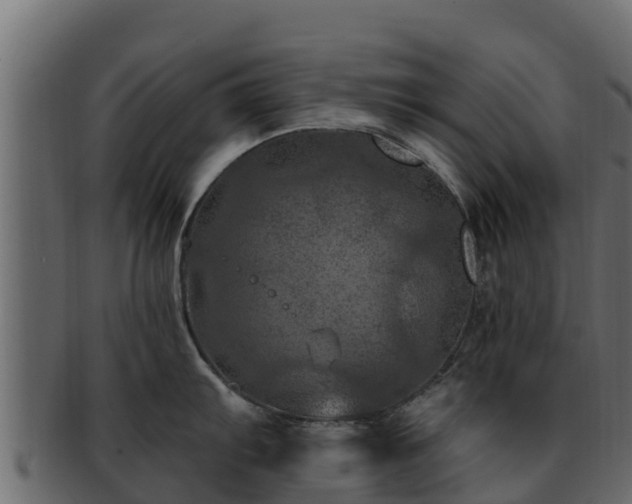 X0000092281103200710041406