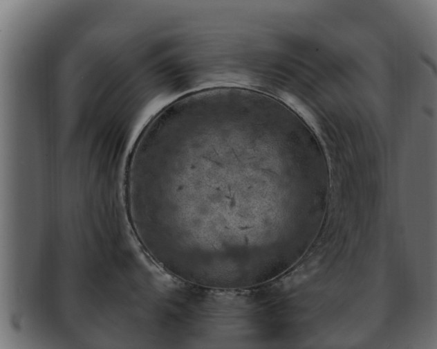 X0000092281104200710041406