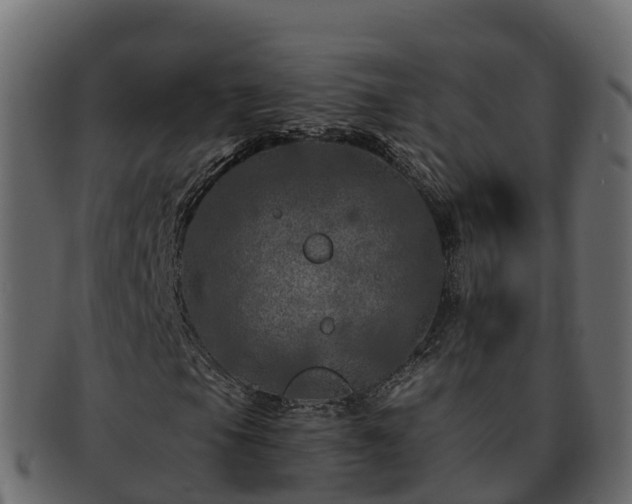 X0000092281105200710041405