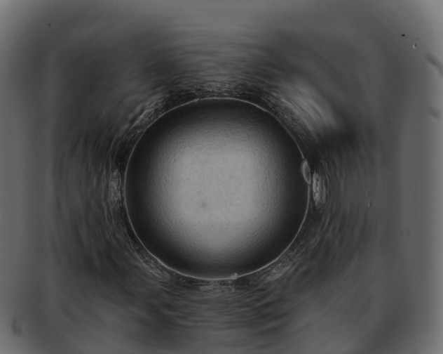 X0000092281107200710041405