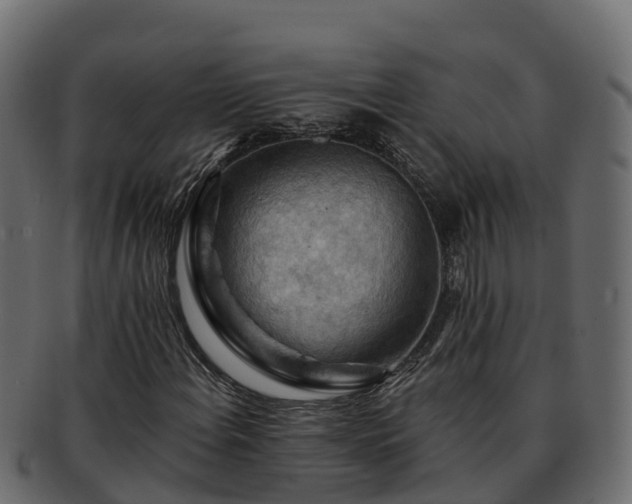 X0000092281108200710041405