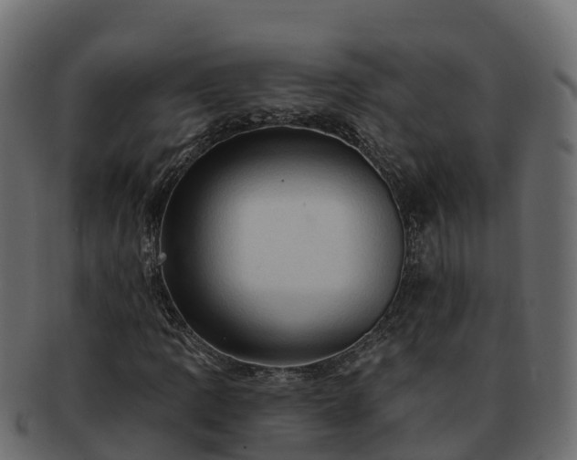 X0000092281109200710041406