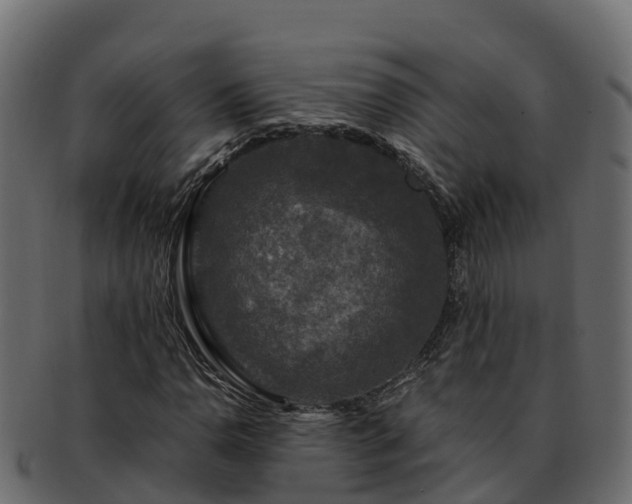 X0000092281110200710041406