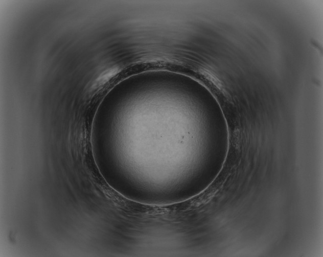 X0000092281111200710041406