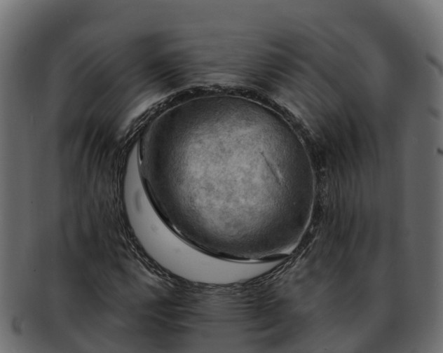 X0000092281112200710041406