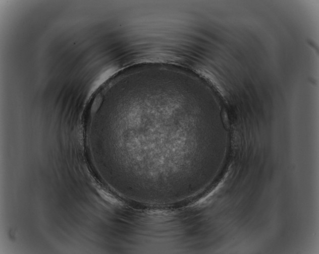 X0000092281114200710041406