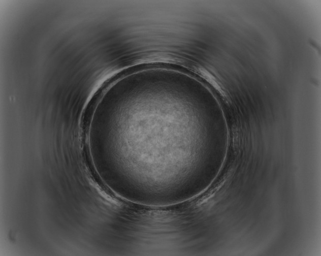 X0000092281116200710041406