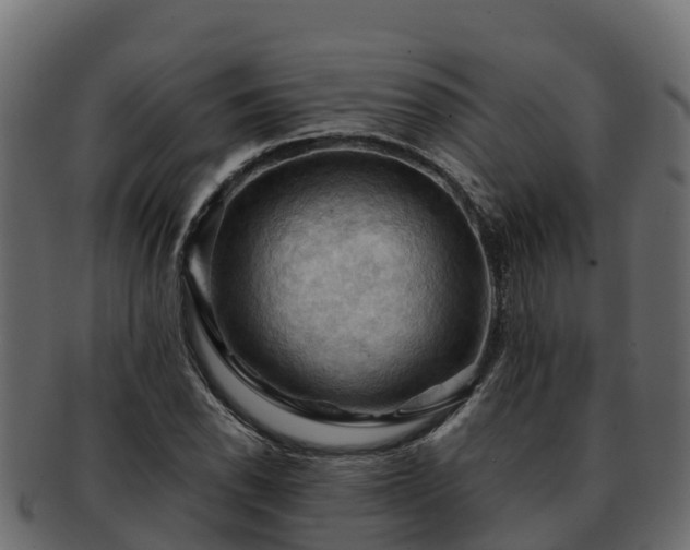 X0000092281118200710041406