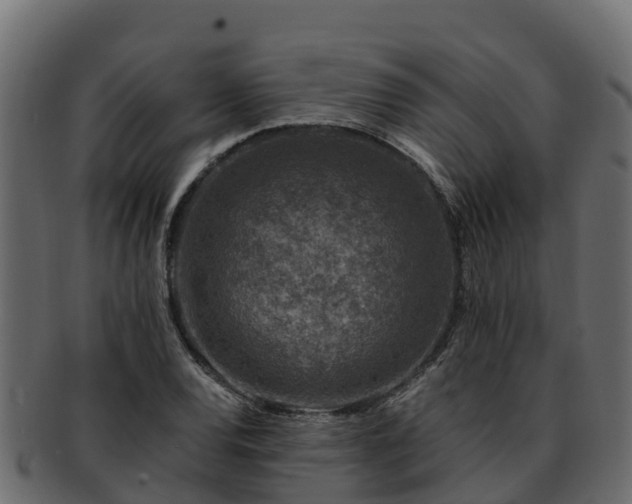 X0000092281120200710041406